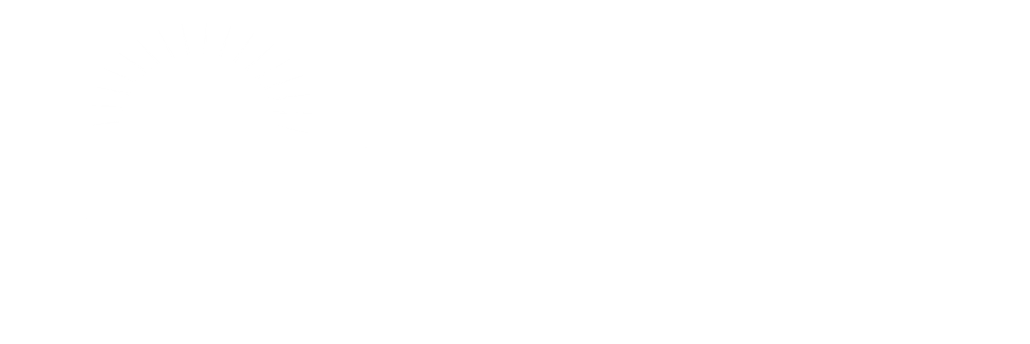 SkySafar