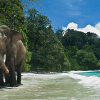 Andaman and Nicobar Islands