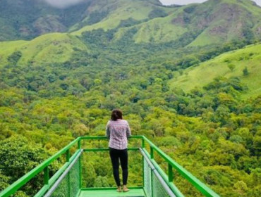 Best Things To Do In Wayanad