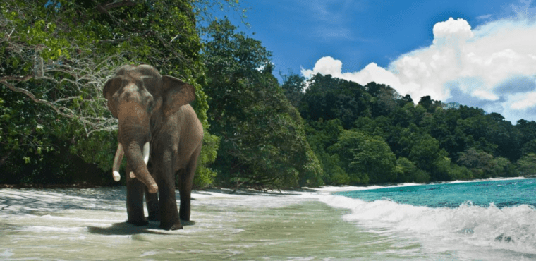 Andaman and Nicobar Islands