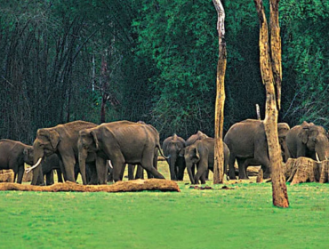 periyar national park