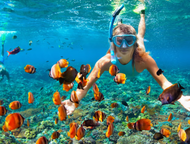 snorkeling in goa