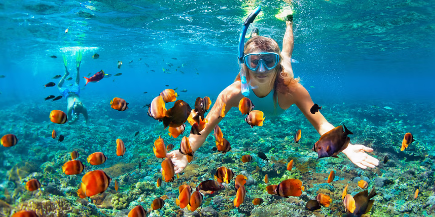 snorkeling in goa