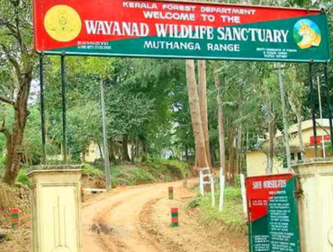 wayanad wildlife sanctuary