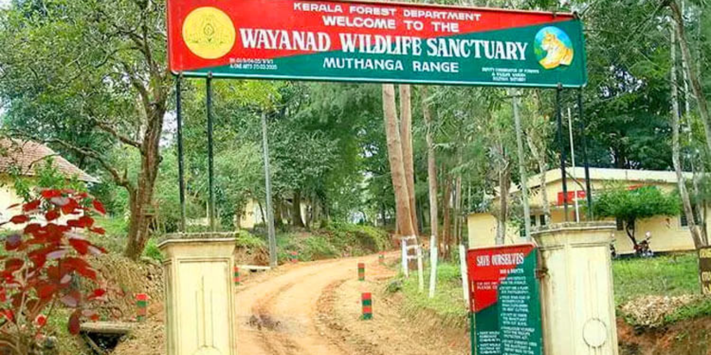 wayanad wildlife sanctuary