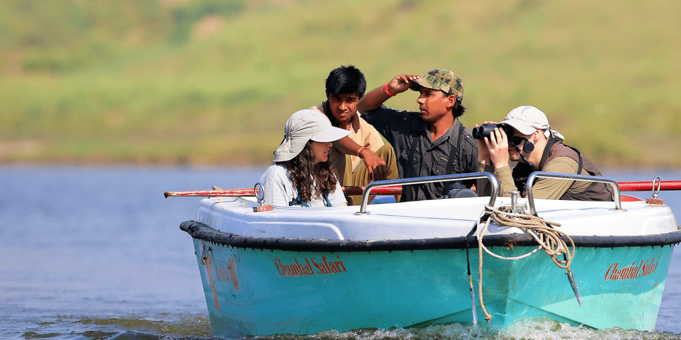 Chambal Safari